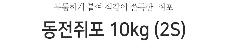 쥐포 S 10kg 상세2