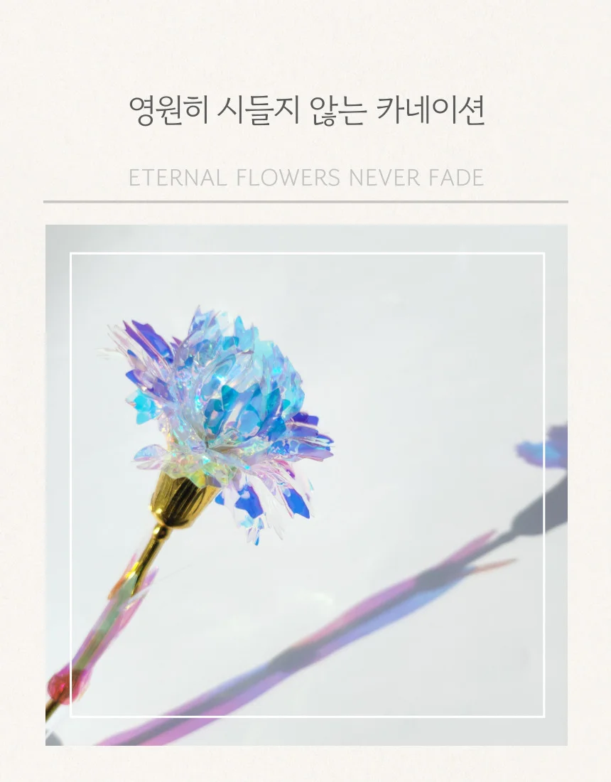 카네이션 조화 오로라 어버이날 스승의날 행사 선물 상세2