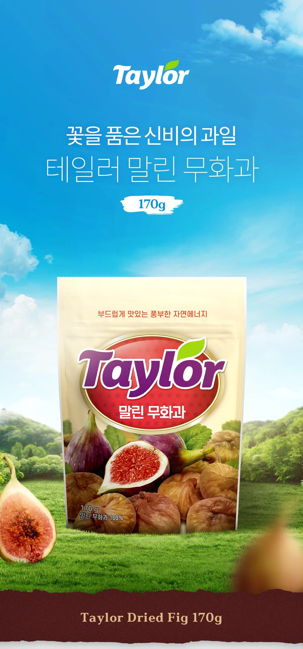 통째로 말린 무화과 3개(Tayer) 상세1