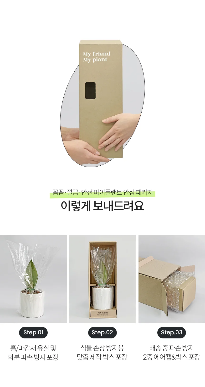무늬벤자민 유리화분 받침세트 상세5