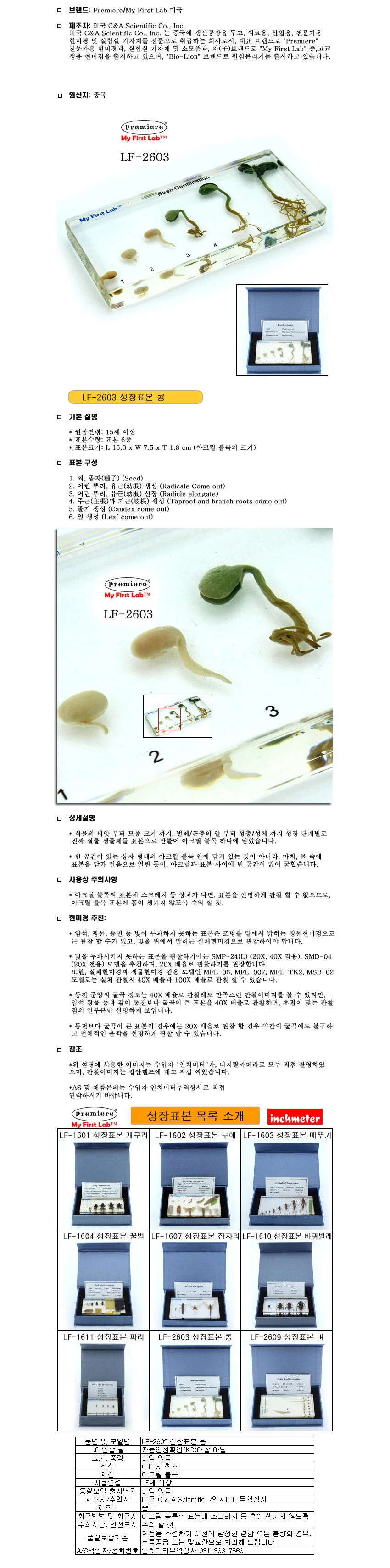프리미어 LF-2603 성장표본 콩 상세1