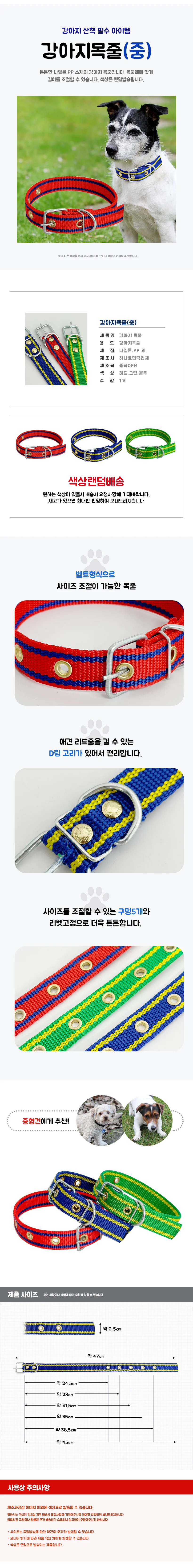 중형견 목띠 애견 넥스트랩 상세1
