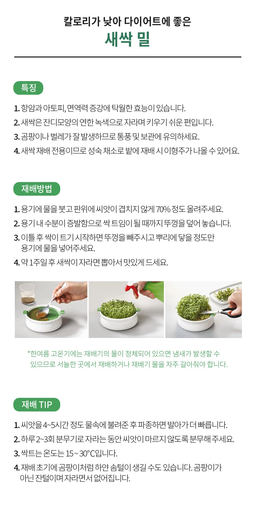 새싹밀 씨앗 상세3