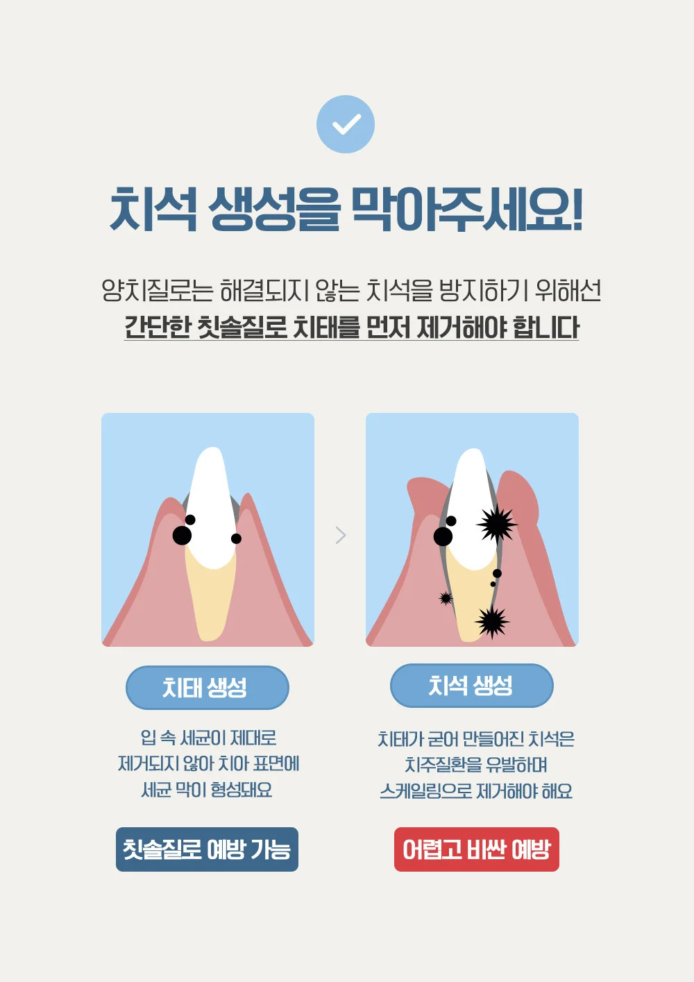 뚜또가또 초극세모 덴탈 칫솔/구강관리/클린칫솔 상세4