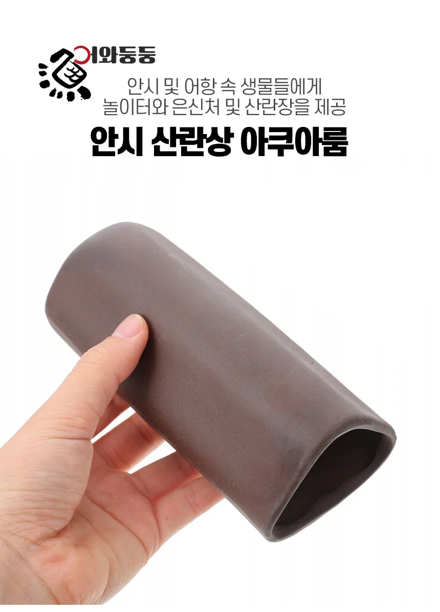 어와둥둥 안시산란상 아쿠아룸 상세1