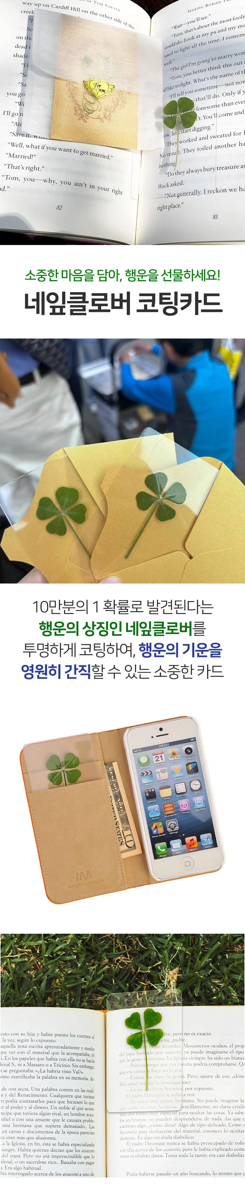 네잎클로버 코팅 카드 행운 기원 책갈피 압화 선물 상세1