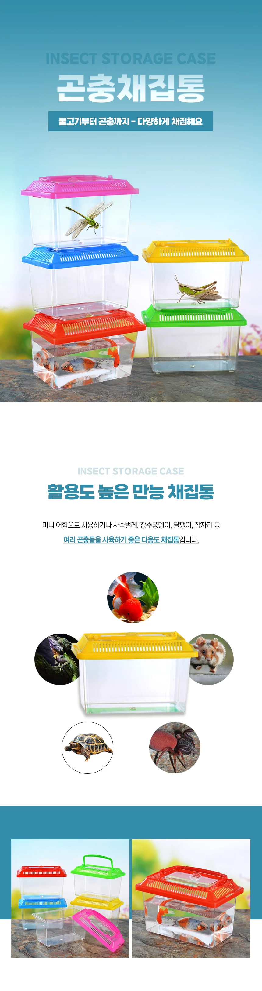 곤충 채집통 소 대 관찰통 어항 다슬기 보관 케이스 상세1