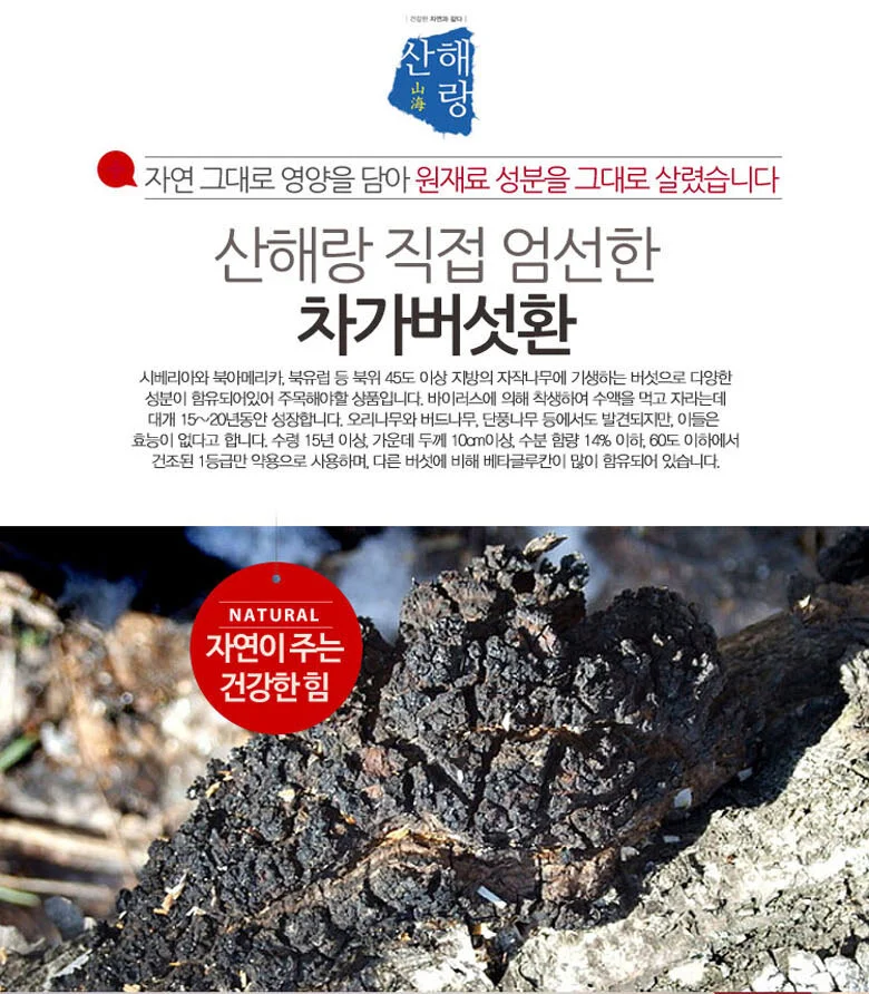 차가버섯환 (300g) 상세1