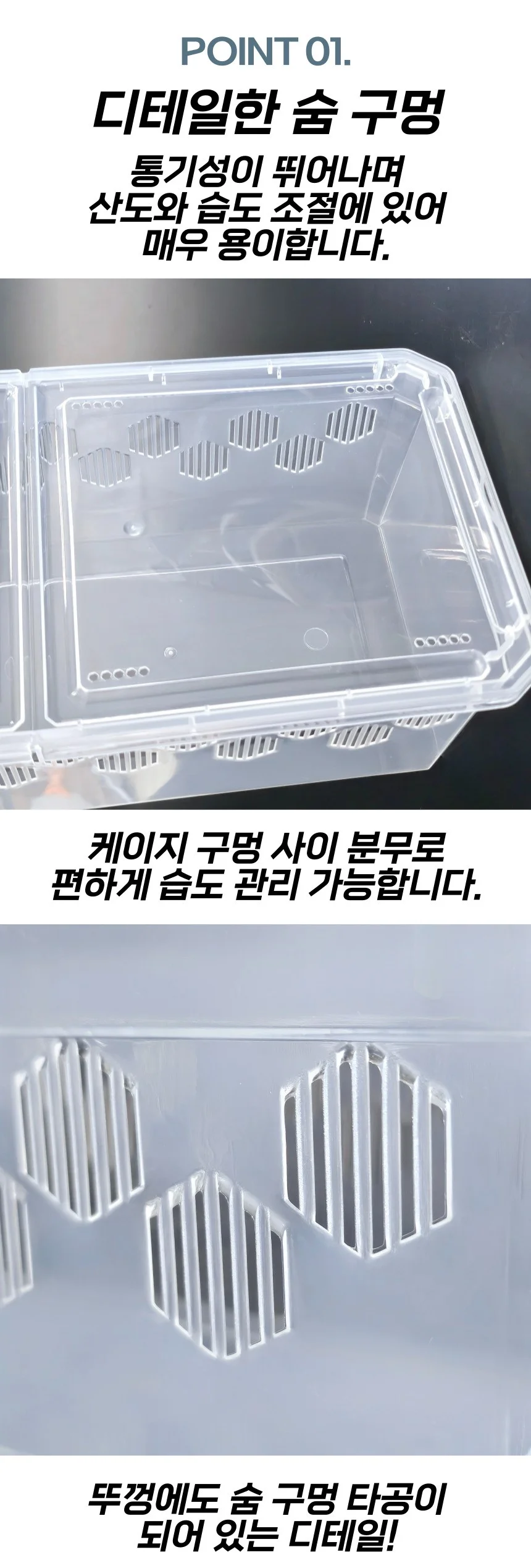 중형 파충류 크레스티드 게코 도마뱀 사육장 H9 상세3
