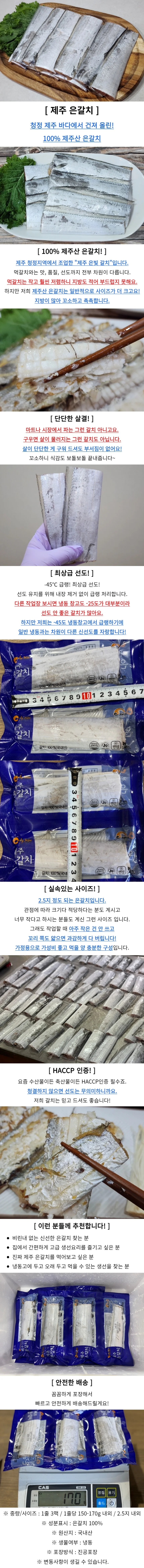제주 은갈치 15토막 소 냉동갈치 갈치구이 갈치선물 상세1