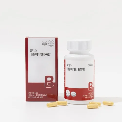 웰러스 바른 비타민B복합 450mg x120캡슐 상세1