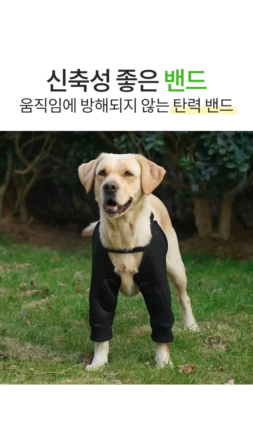 강아지 반려동물 무릎보호대 관절 보호 PE 상세4
