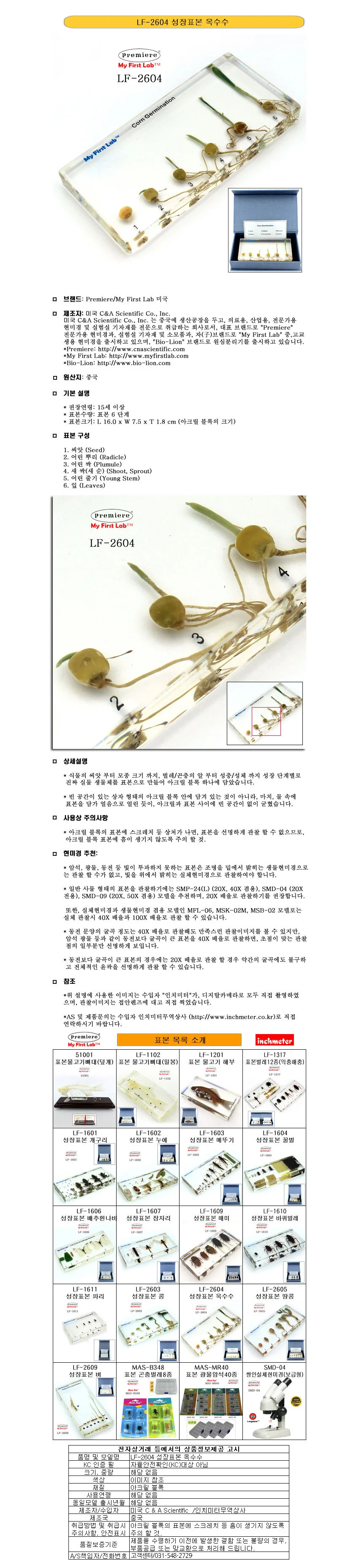 성장표본 옥수수 (PM 관찰학습 옥수수체험 식물모형 상세1