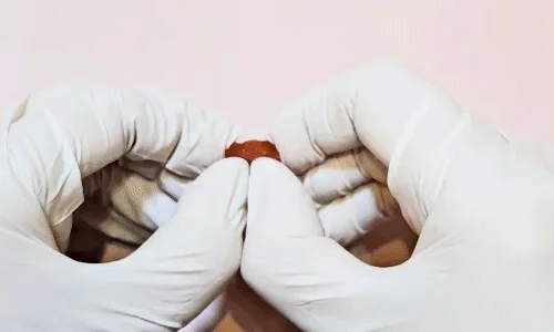 댕댕이간식 연어 육포간식 애견육포 멍멍이간식 애완동물간식 개육포 상세이미지
