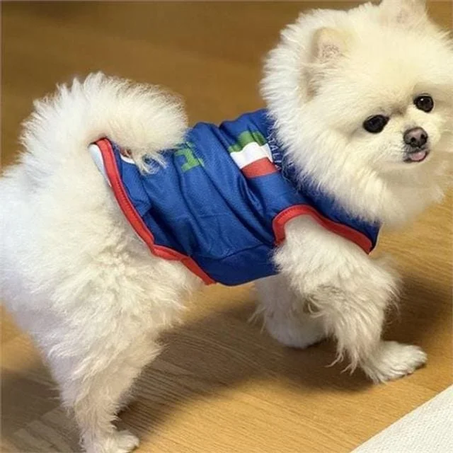 강아지 축구 유니폼 애견 축구복 메시 데일리룩 반려동물 여름 레이어드 산책복 스포츠 디자인 실내복