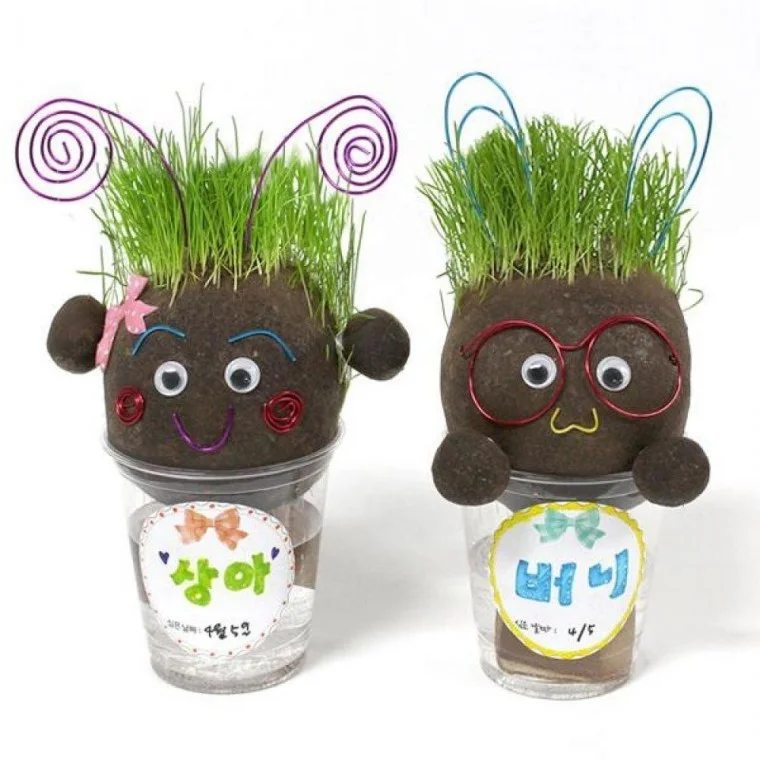잔디인형 키우기 식물 5인세트