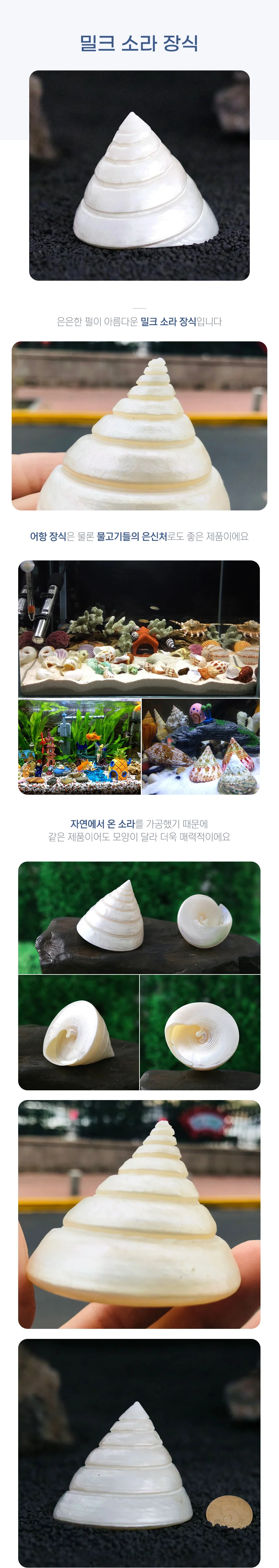 수족관 소라 장식 바닥장식 소라장식품 어항은신처 소라모형 상세1