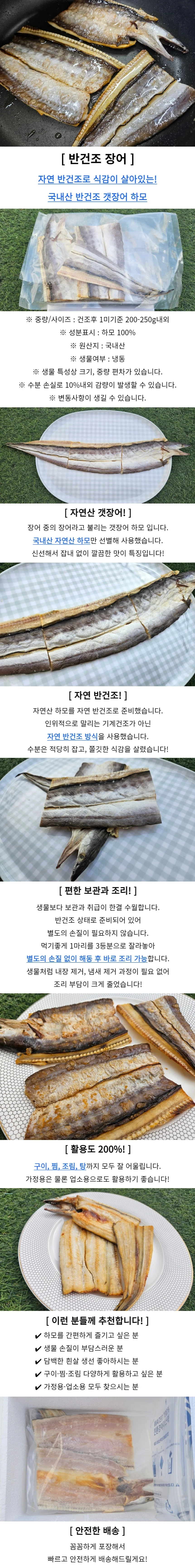 국내산 반건조 갯장어 3미 상세1