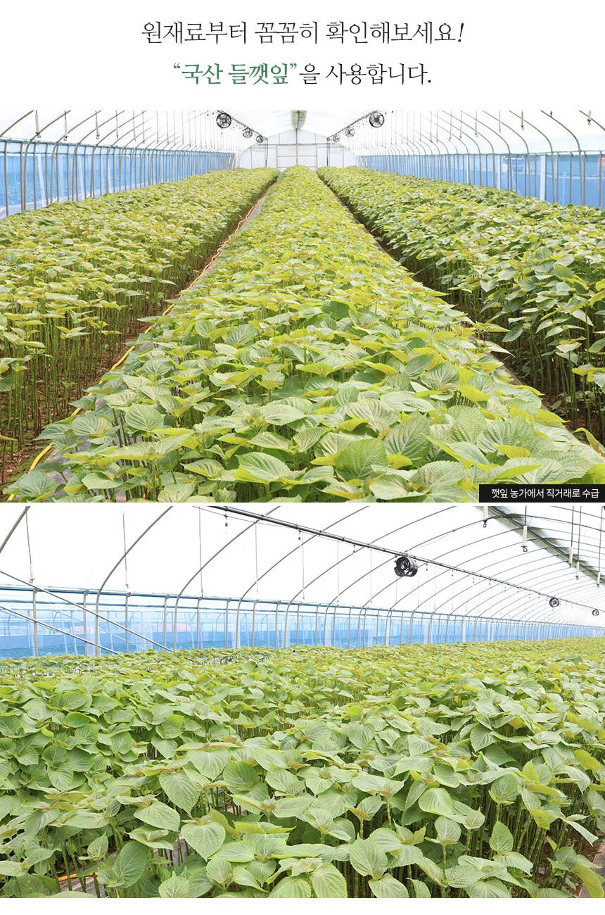 매력반찬 국산 깻잎 매실생깻잎 양념무침 250g 상세3