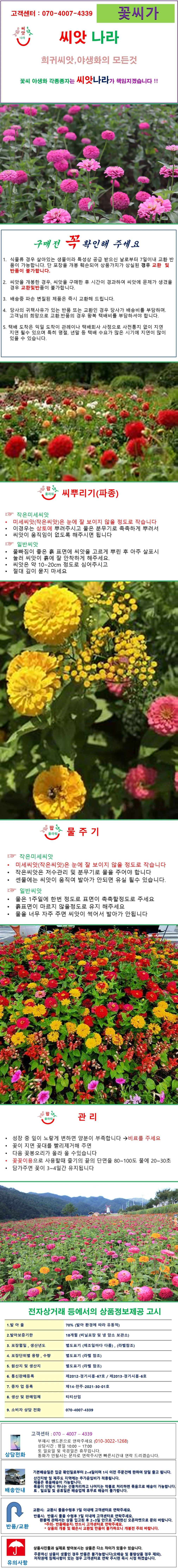 백일홍 엘레강스 혼합 씨앗 10립 상세1