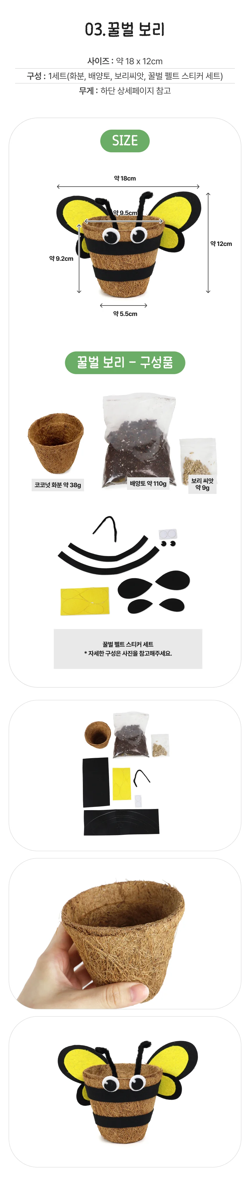 새싹채소 코코넛 화분 꾸미기 꿀벌 보리 상세4
