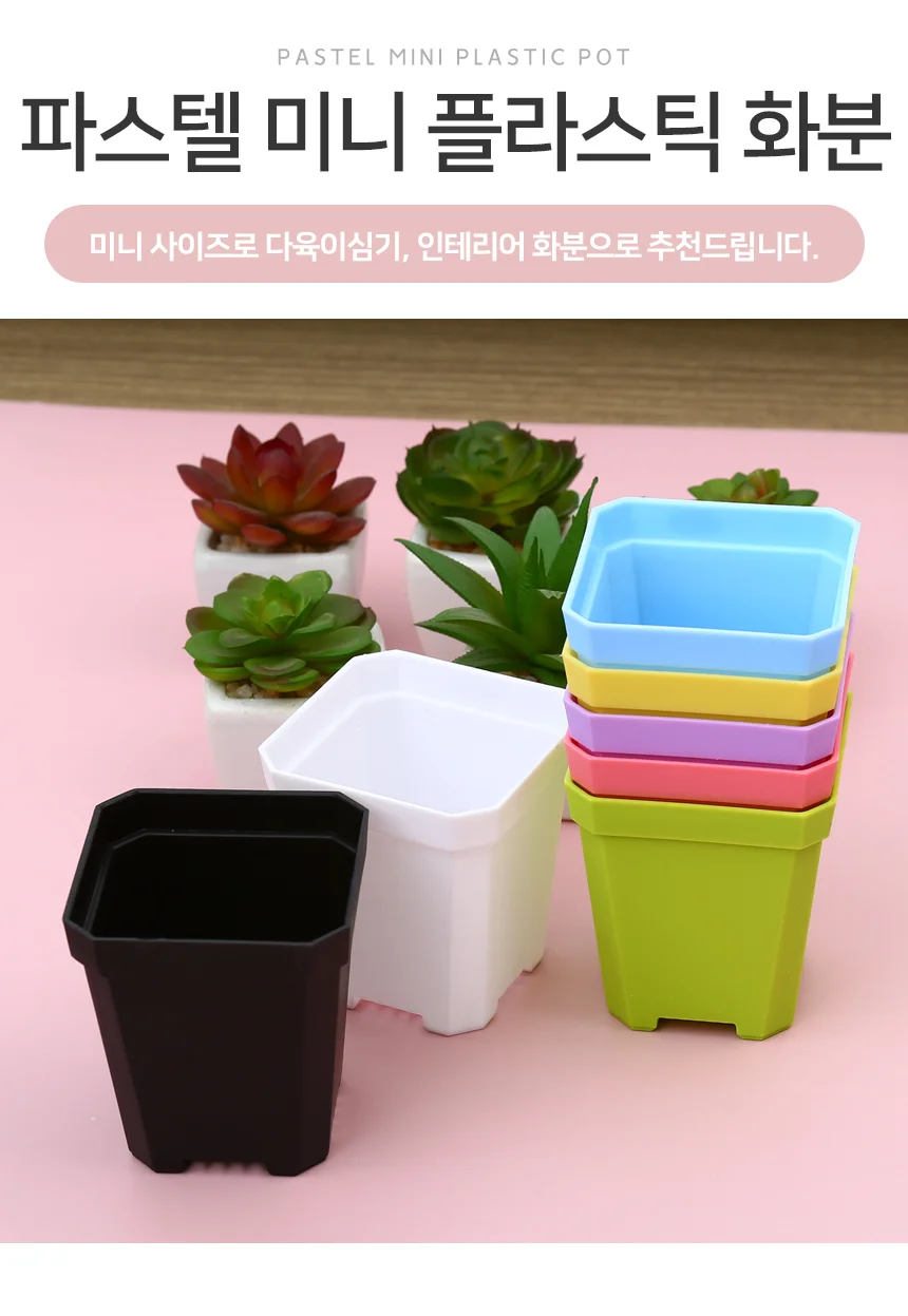 파스텔 미니 플라스틱 화분 7X8cm 상세2