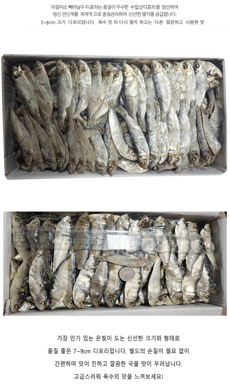 디포리 1.5kg 수입 상세5
