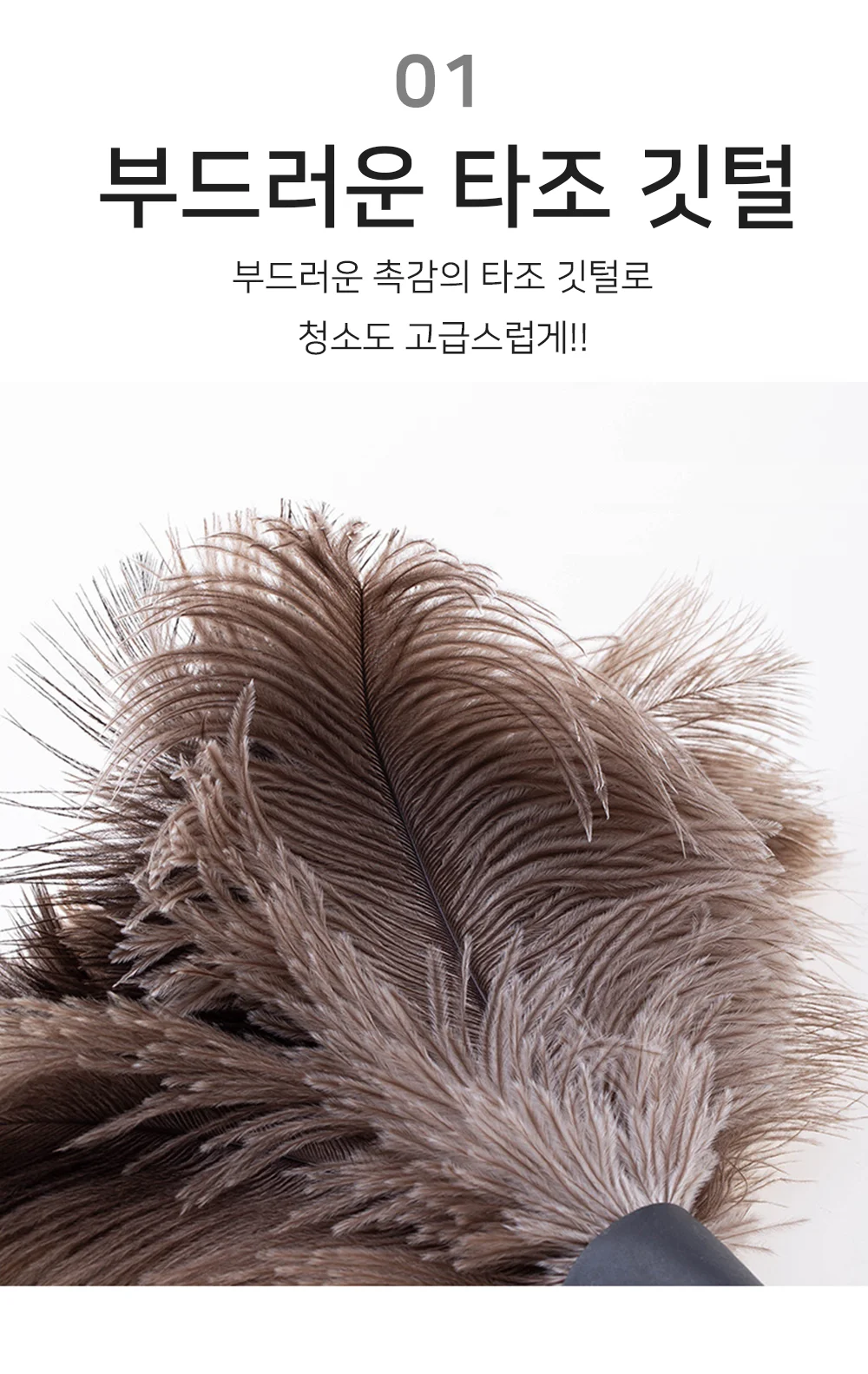 타조털 먼지털이 청소솔 브러쉬 먼지털이개 키보드청소 차량먼지떨이개 상세2