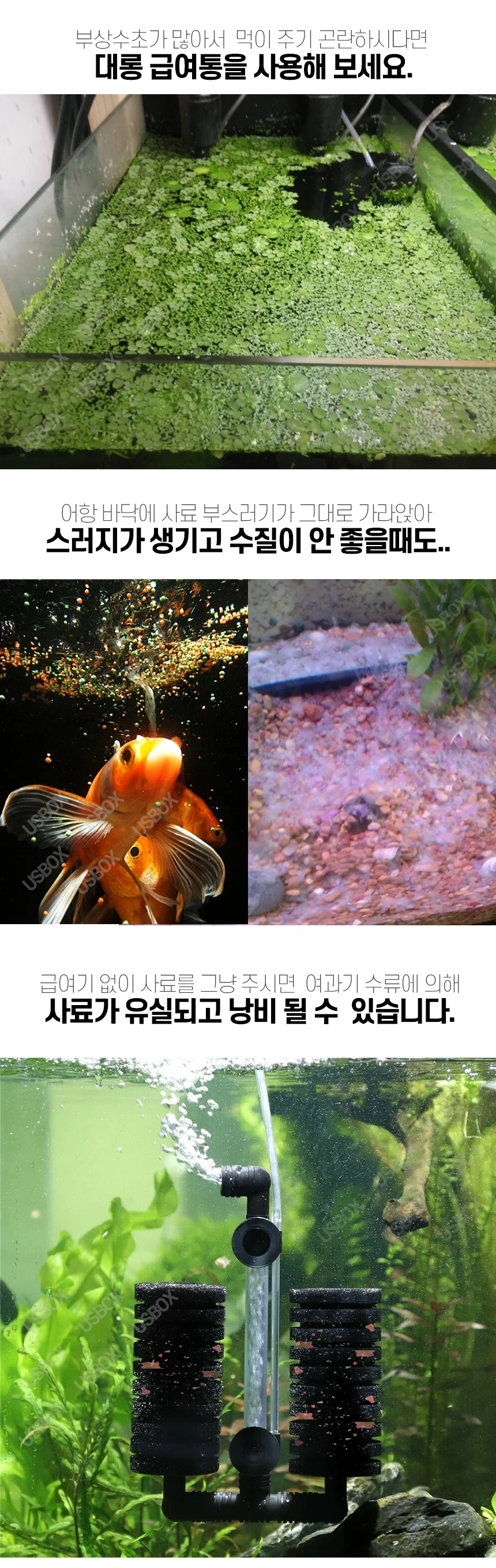 어항 대롱급 여기 상세3