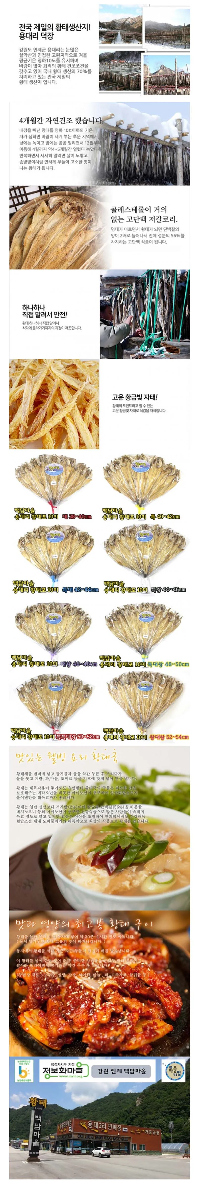 용대리 황태포10미(특 40-42cm) 상세1
