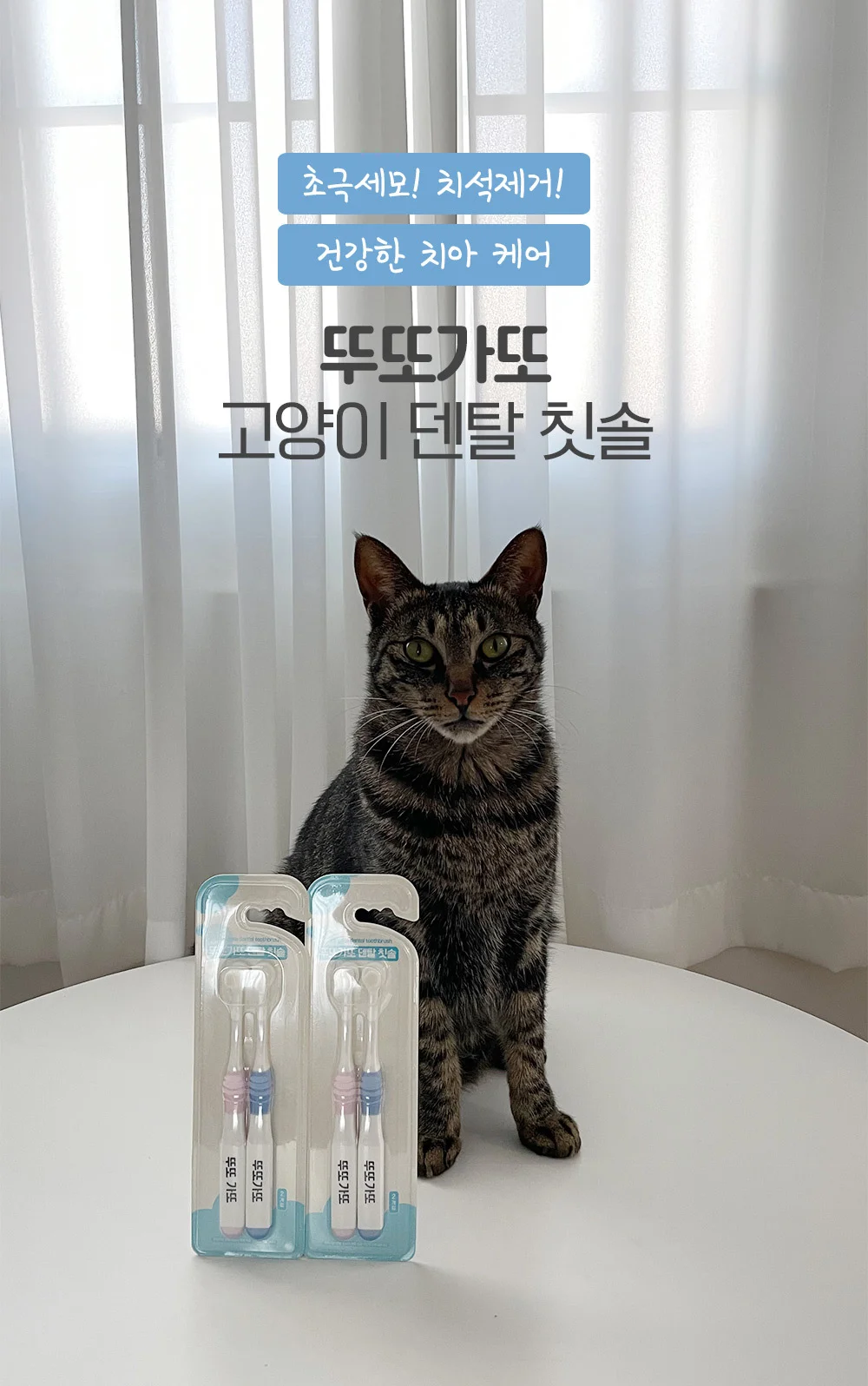 뚜또가또 초극세모 덴탈 칫솔/구강관리/클린칫솔 상세1