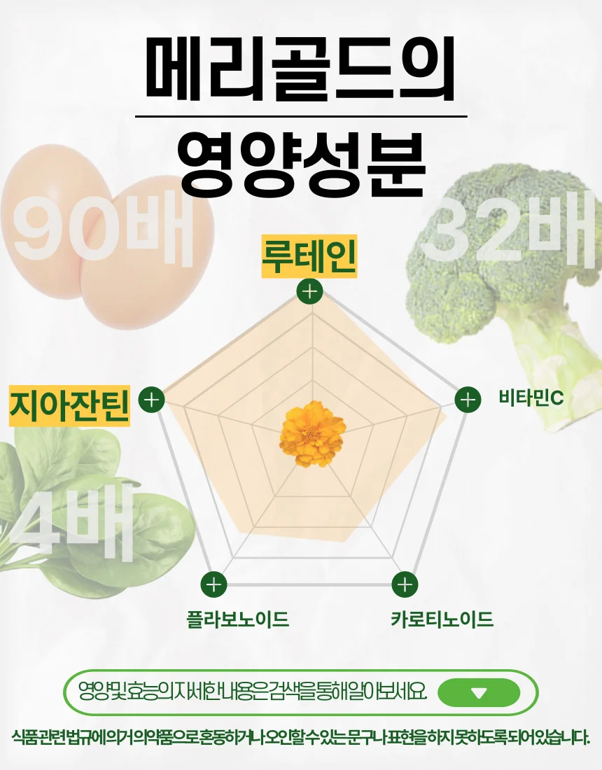 유기농 수제덖음 메리골드꽃차 상세5