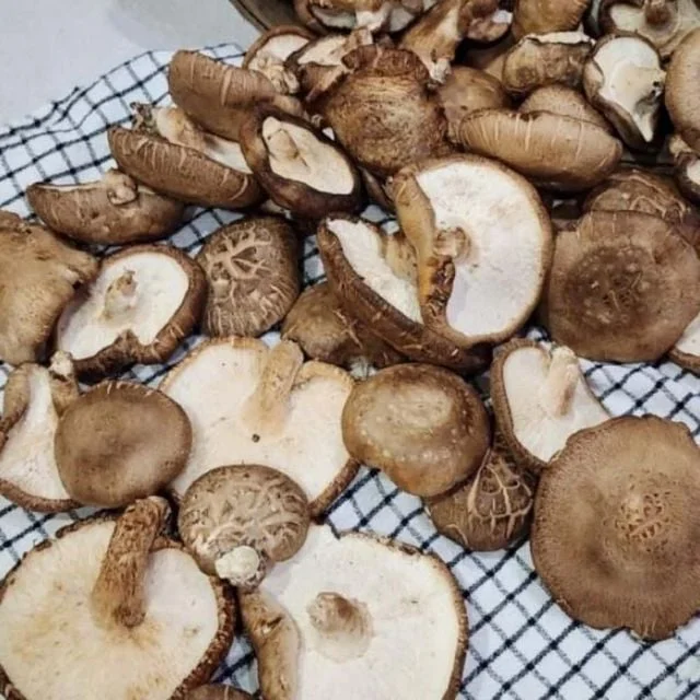 표고버섯 못난이 1kg 버섯세트 생표고버섯