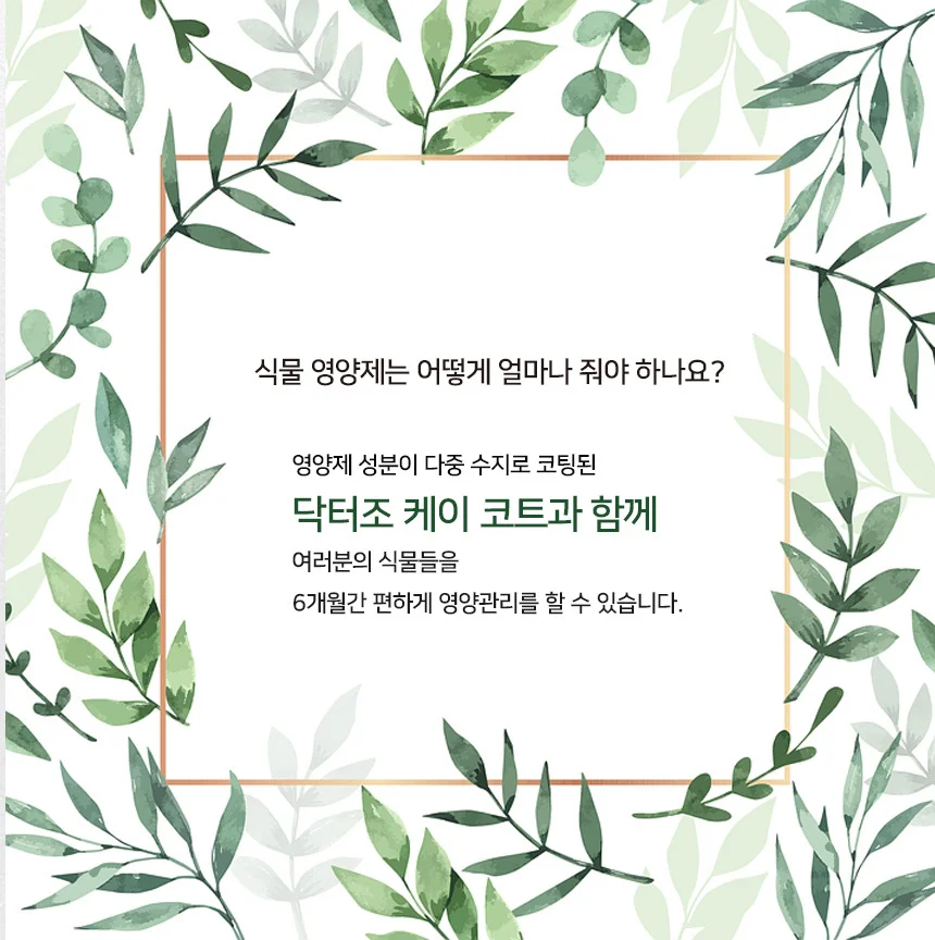 (영양제) 닥터조 케이코트 300g 상세2