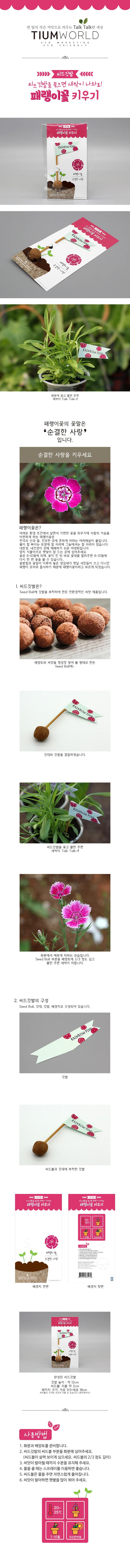 패랭이꽃 식물 씨앗 키우기 재배용 파종 꽃 씨앗 깃발 세트 상세1