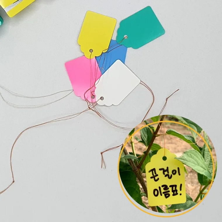 끈 걸이형 식물 태그 이름표 중 100P