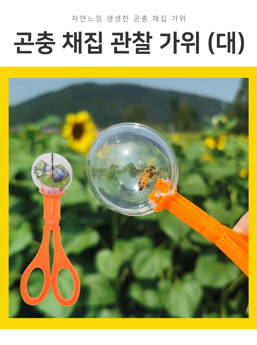 곤충채집 관찰 가위(대) 상세2