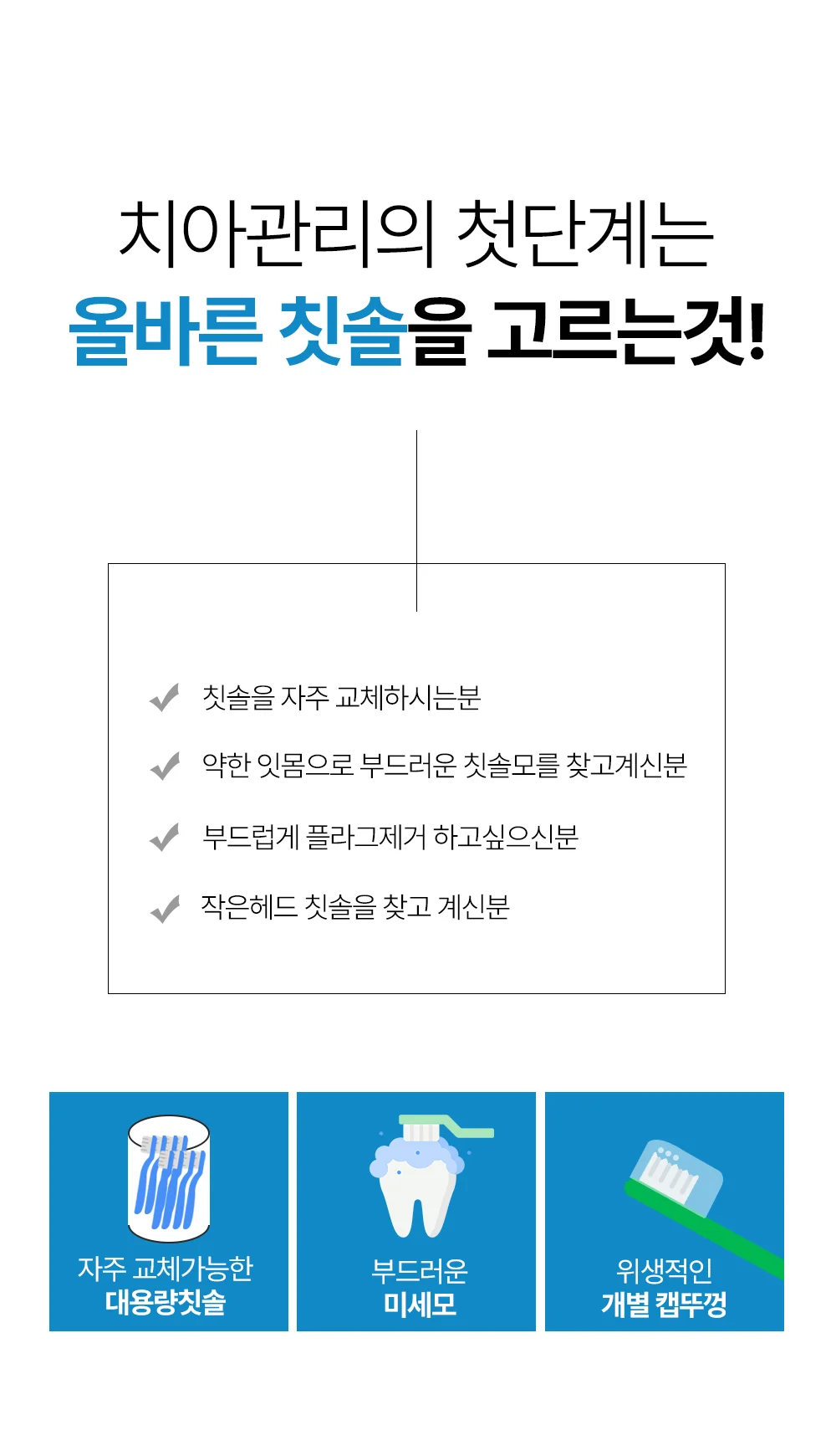 토리치코 소프트 데일리 미세모 칫솔 8개입 상세2