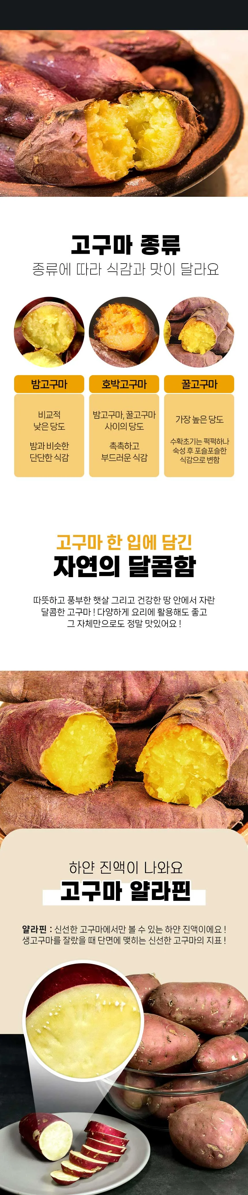 해남 저온큐어링 고당도 세척 꿀고구마 3kg 한입 상세3
