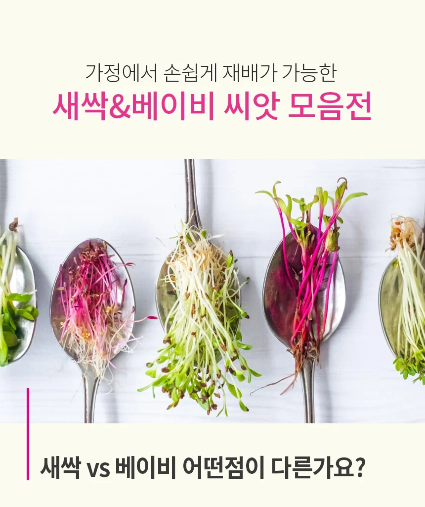 새싹채소 씨앗 모음 상세1