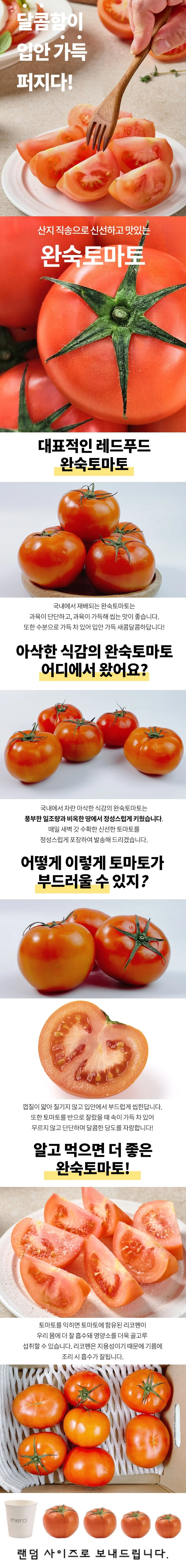 국내산 완숙 토마토 4kg 상세1