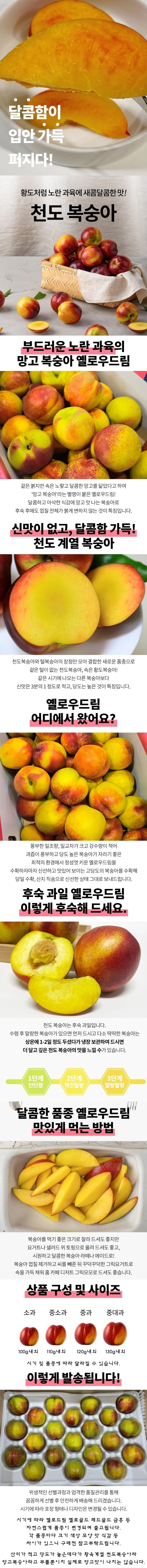 망고복숭아 1kg 중과 상세1