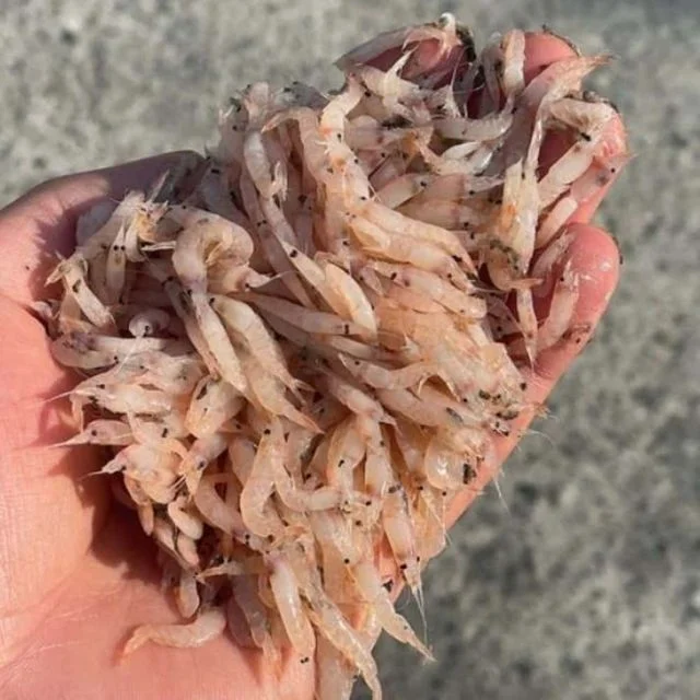 냉동 생새우 1kg 새우조미료 냉동수산물