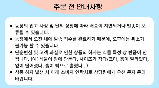 실내에서 키우기쉬운 은사철 화분 공기정화 식물 다육 상세2