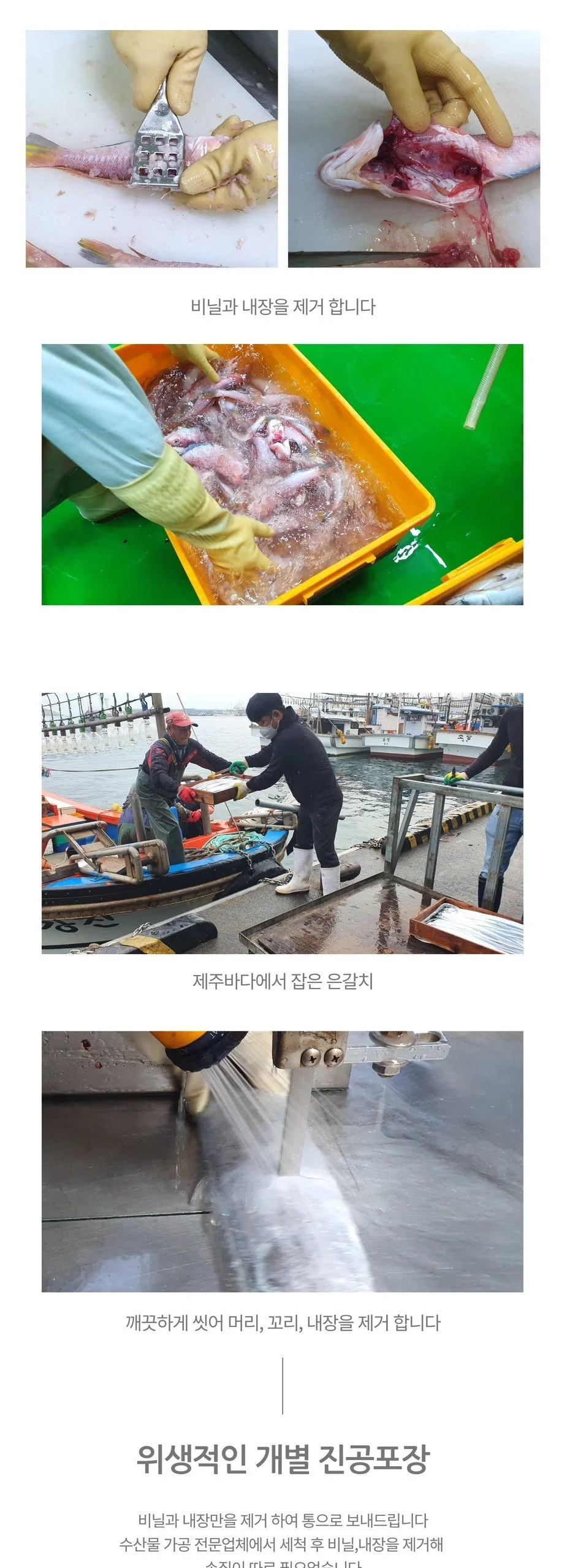 VDG 제주 흑옥돔3미+왕특대갈치 2팩세트 기본포장 상세4