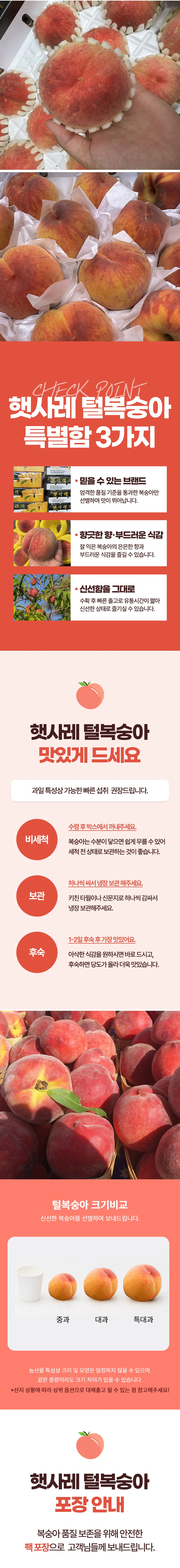 햇사레 황도복숭아 대과 2kg(8~9과 내외) 상세2