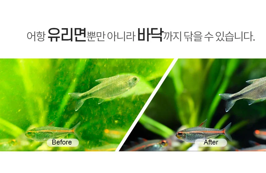 물에뜨는 어항 자석스크 래퍼 상세5