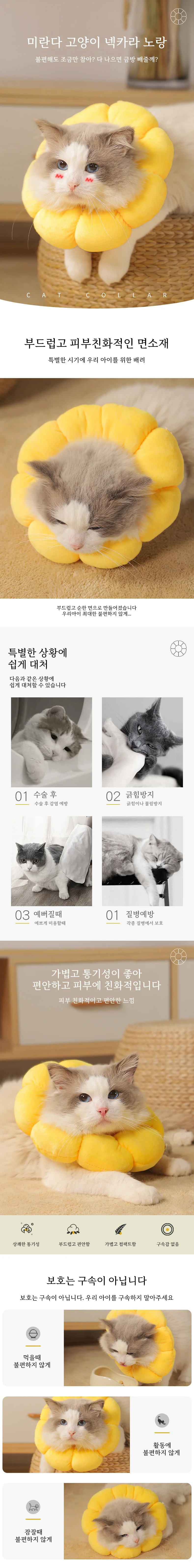 리드줄 소 강아지깔대기 넥카라 강아지목카라 상세1