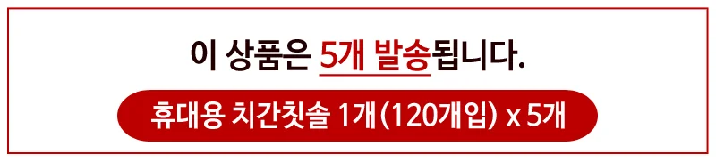 치간칫솔 리필 120P 휴대용 이쑤시개 세트 5개 상세2