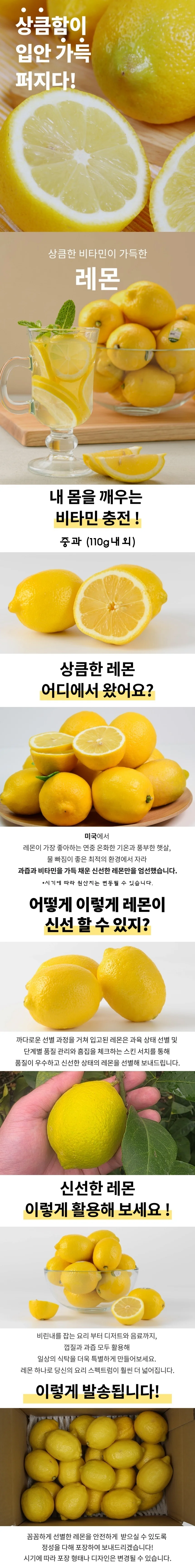 레몬 중과 20개 상세1